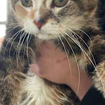 Thumbnail photo of Osaka #2