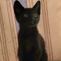 Thumbnail photo of Haze #1