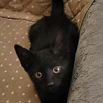 Thumbnail photo of Haze #4