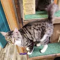 Thumbnail photo of Jackson Jr #3