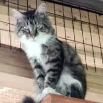 Thumbnail photo of Jackson Jr #4