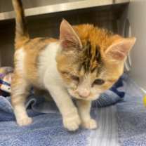 Thumbnail photo of Loretta #2