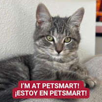 Thumbnail photo of Bay #1