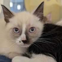 Thumbnail photo of Fairy Lights #1