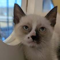 Thumbnail photo of Fairy Lights #2