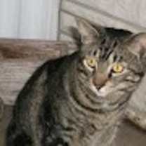 Thumbnail photo of Not Sure #4