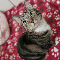 Thumbnail photo of Scarlett #1