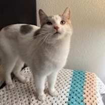 Thumbnail photo of Penelope #3