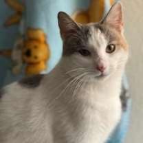 Thumbnail photo of Penelope #4