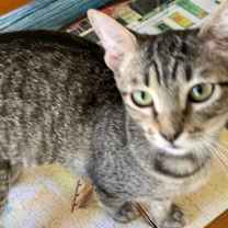 Thumbnail photo of Promise #4