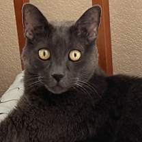 Thumbnail photo of No name #2