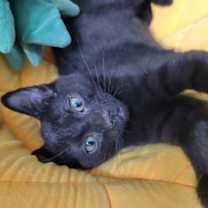 Thumbnail photo of Happy #2