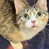 Thumbnail photo of Meredith #1