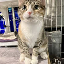 Thumbnail photo of Meredith #3