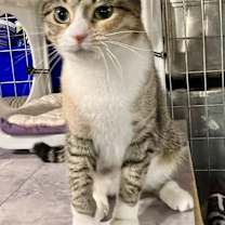 Thumbnail photo of Meredith #4