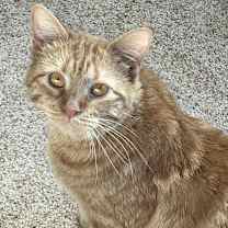 Thumbnail photo of Marge #3