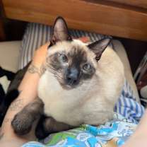 Thumbnail photo of Billie Bean #1