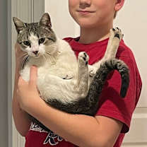 Thumbnail photo of ROLLER MAGIC #1