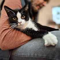 Thumbnail photo of Sebastian #1