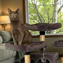 Thumbnail photo of Coral #1