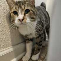 Thumbnail photo of Stormy #1