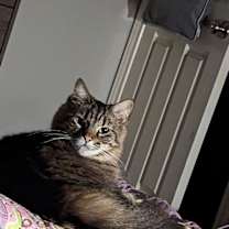 Thumbnail photo of Mercedes #1