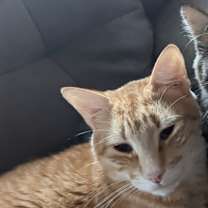 Thumbnail photo of Mercedes #3