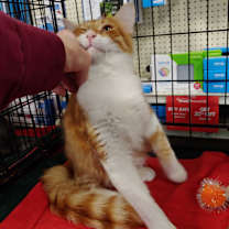 Thumbnail photo of Tobias #4