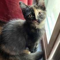 Thumbnail photo of Hanna #sister-of-Benjamin #2