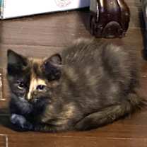 Thumbnail photo of Hanna #sister-of-Benjamin #3