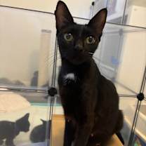 Thumbnail photo of Monster #2