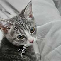 Thumbnail photo of Tami #2