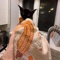 Thumbnail photo of Holly #2