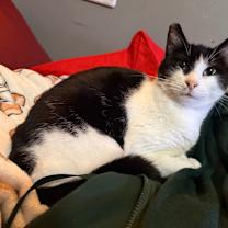 Thumbnail photo of Monroe #4