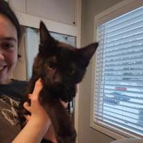 Thumbnail photo of Umbra #3