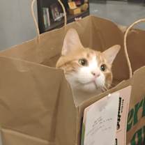 Thumbnail photo of O'Malley #2