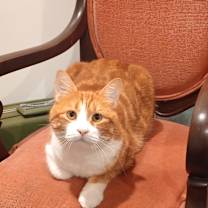 Thumbnail photo of O'Malley #3