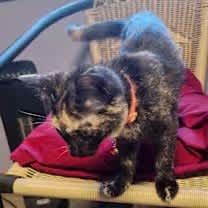 Thumbnail photo of Addison Lou #3