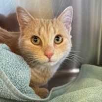 Thumbnail photo of Winnie #3