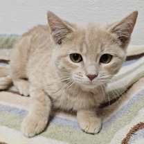 Thumbnail photo of Jam #2