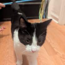 Thumbnail photo of Toast #2