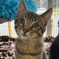 Thumbnail photo of Billy #4