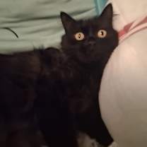 Thumbnail photo of Mama Kelly #3