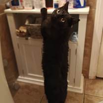 Thumbnail photo of Whiteout #1