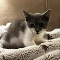 Thumbnail photo of Polly #2