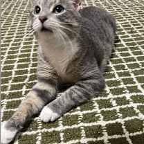 Thumbnail photo of Jonathon #1