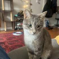 Thumbnail photo of Jonathon #3