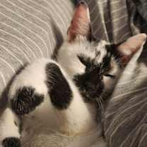 Thumbnail photo of MJ #3