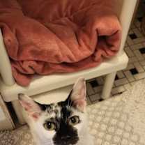 Thumbnail photo of MJ #4