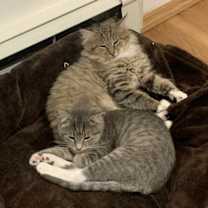 Thumbnail photo of Fog & Mist #3